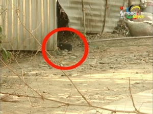 A Remote Controllable IED Bomb was found at the house gate of CPWD Sub Contractor