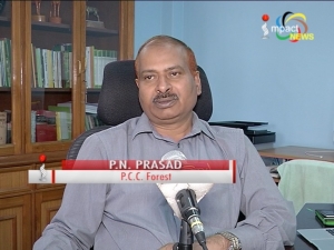 No incident of killing Royal Bengal Tiger in Manipur : P. N. Prasad
