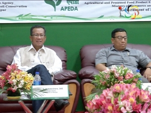 Manipur govt to generate 105 mega watt from solar energy, to set up solar energy plant in six months
